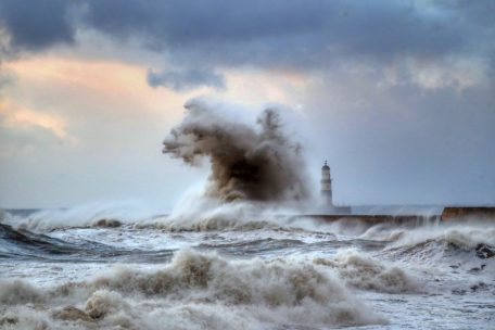 Deutsche Sprache / „Wellenbrecher“ ist das Wort des Jahres 2021