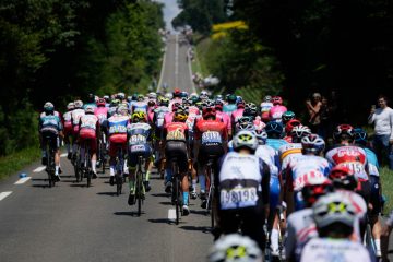 Urteil / Frau mit Schild muss nach Sturz-Drama bei Tour de France Strafe zahlen