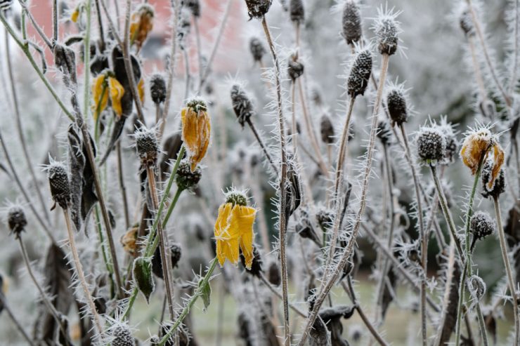 Alarmstufe Gelb / Winterschock in Luxemburg: Trotz Schlotterkälte keine weiße Weihnacht