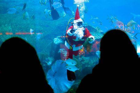 An dem bei B&uuml;rgern des Gro&szlig;herzogtums beliebten Reiseziel Dubai wird rund um Weihnachten f&uuml;r festliche Stimmung bei den Touristen gesorgt &ndash; so wie in diesem Aquarium der &bdquo;Dubai mall&ldquo;&nbsp;