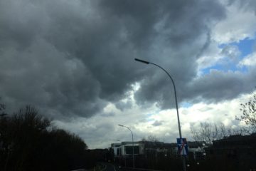 Warnstufe Gelb / Wetterdienst warnt vor starkem Wind am Dienstag