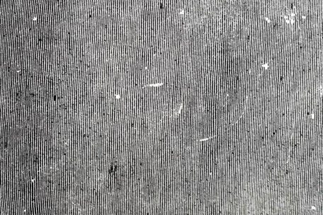 Low &ndash; Hey What 