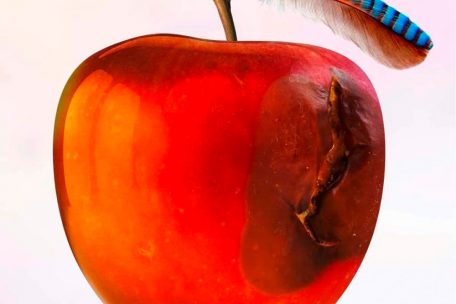 International Music &ndash; Ententraum