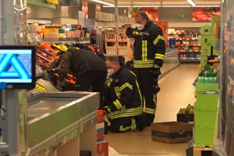 Deutschland / Bananenkiste: Spinne beißt Supermarktmitarbeiter – große Suchaktion