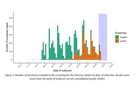 Durchsetzungsfähig: Die Grafik zeigt die Zahl der untersuchten Proben – und ob diese zur Omikron-Variante gehören (orange) oder nicht (grün). Das lila Rechteck weist darauf hin, dass Werte hier noch einen höheren Unsicherheitsfaktor haben.