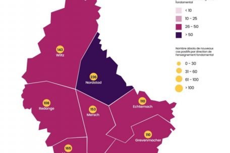 Die meisten F&auml;lle gab es in den Grundschulen der Grundschuldirektion Luxemburg-Stadt &ndash; die wenigsten in denen der Direktion Redingen.&nbsp;