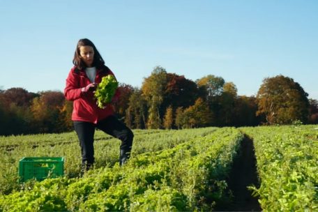 Die Mitglieder von on.perfekt helfen selbst den lokalen Bauern bei den Ernten oder sie kaufen die Lebensmittel ab, die die regionalen Produzenten wegen der gegebenen Lebensmittelstandards nicht an große Betriebe oder auch Einzelhändler verkaufen können