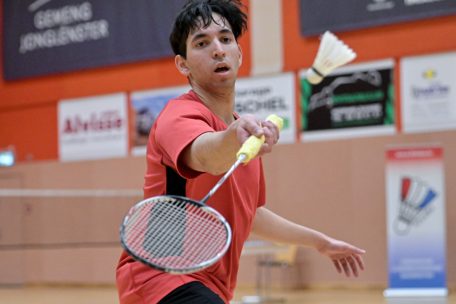 Badminton / Individuelle Landesmeisterschaften: Havé und Pauquet bestätigen