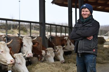 „Kass-Haff“ / Der Vorzeigehof: Wo Tierwohl, Pädagogik, Bildung und Regionalität keine Frage sind, sondern ein Muss