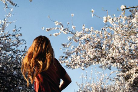L&rsquo;affiche du festival