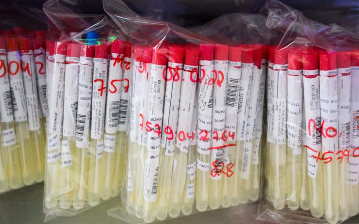 Luxemburg / Corona-Wochenrückblick der „Santé“: 31 Schulklassen mit mehr als fünf Infektionsfällen