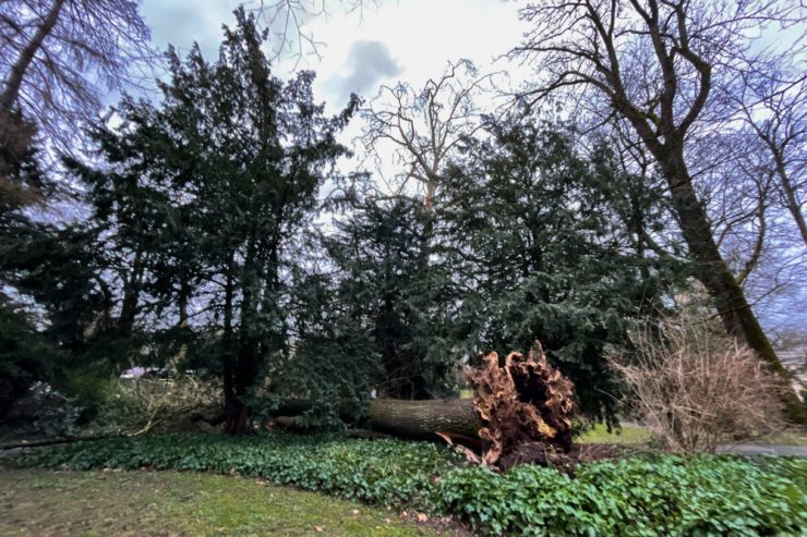 Sturm „Zeynep“ in Luxemburg  / Kurz und heftig, aber nicht ganz so schlimm wie befürchtet