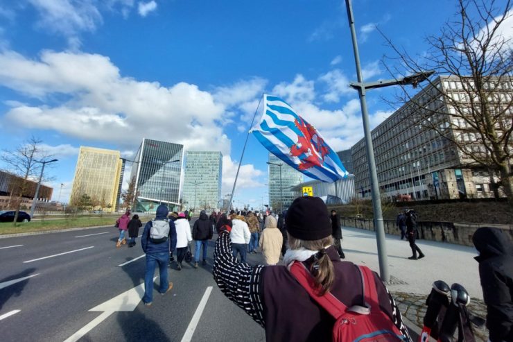 Luxemburg / Rund 80 Demonstranten protestierten am Samstag erneut gegen Covid-Maßnahmen der Regierung
