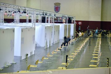 Luxemburg-Stadt / Verseuchter Boden und 32 Bäume, die gefällt werden müssen