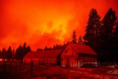 Laut UN-Bericht / Extreme Waldbrände werden drastisch zunehmen