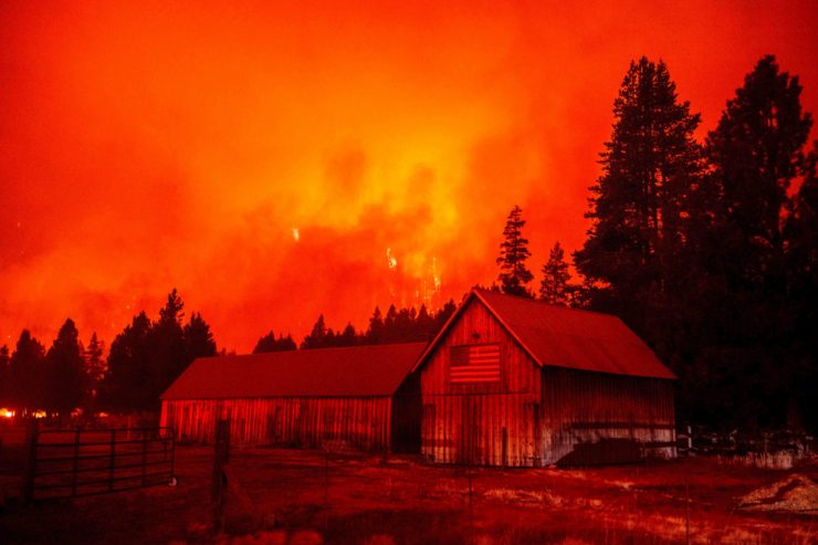 Laut UN-Bericht / Extreme Waldbrände werden drastisch zunehmen