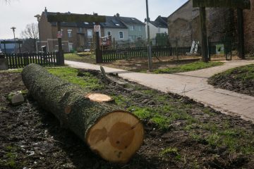 Schifflingen / Baubeginn zur Tiefgarage wirft Schatten voraus: Aufregung wegen Abholzung im Park