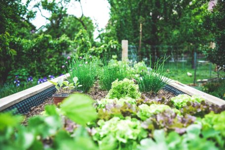 Zeit im Freien / So gedeiht der Gemüse- und Kräutergarten im Frühling