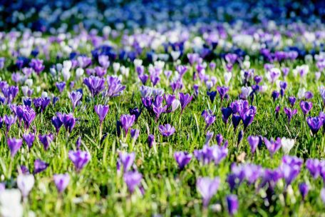 Arbeiten im Grünen / So wird der Garten frühjahrsfit