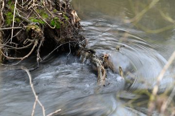 Weltwassertag / Wasser – das Gold der nächsten Jahrzehnte