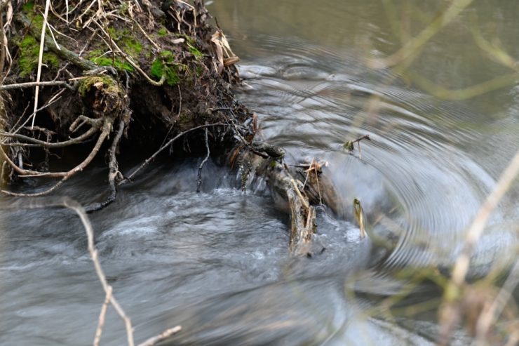 Weltwassertag / Wasser – das Gold der nächsten Jahrzehnte