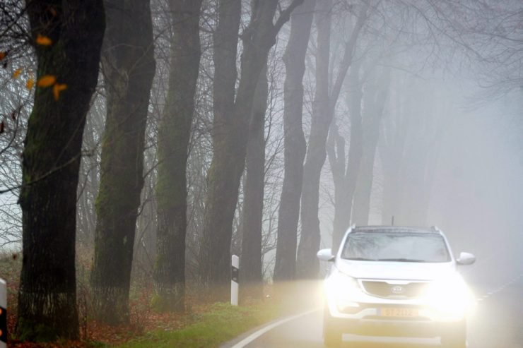 AVR & „Sécurité routière“ / Bäume am Straßenrand: Haben Transport- und Umweltminister ihr Wort gebrochen?