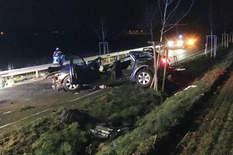 Auf den Aufnahmen vom Unfallort sind die jungen Bäume deutlich zu erkennen