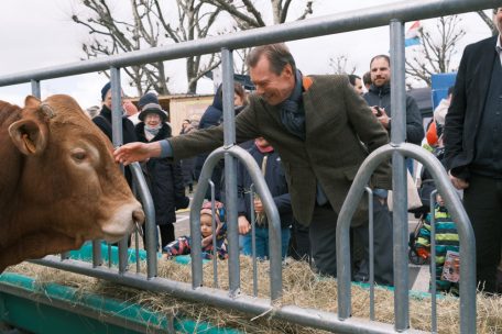 Luxemburg / Kühe streicheln und kochende Politiker: „Bauerenhaff an der Stad“ in Bildern