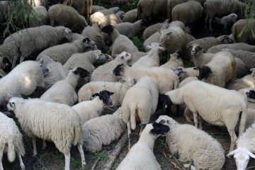 Unesco / Immaterielles Kulturerbe: Luxemburg bei drei Kandidaturen dabei