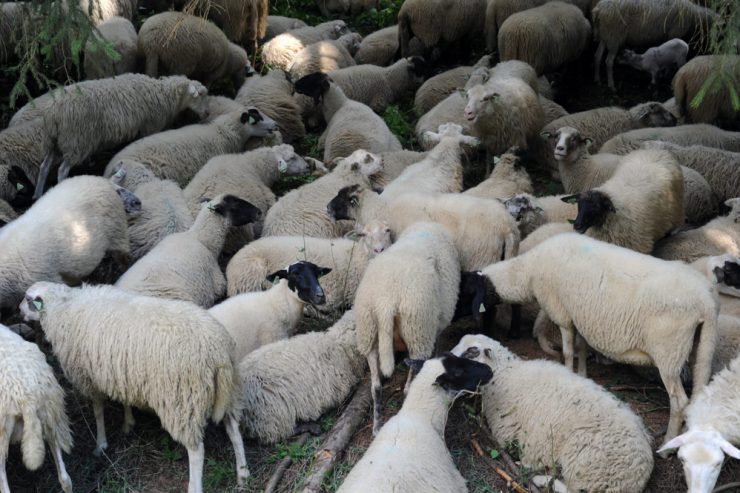 Unesco / Immaterielles Kulturerbe: Luxemburg bei drei Kandidaturen dabei