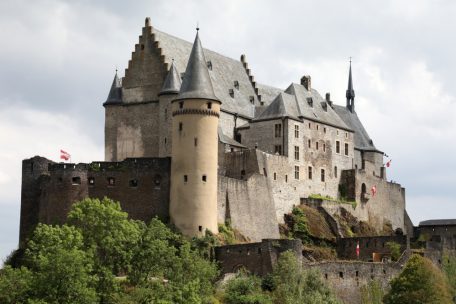 Burgen / Weg vom Benevolat, hin zur Professionalisierung