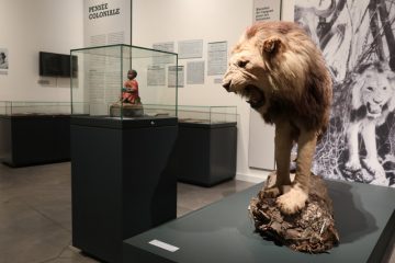 MNHA / „Die Realität so zeigen, wie sie war“: Ausstellung über die koloniale Vergangenheit von Luxemburg eröffnet