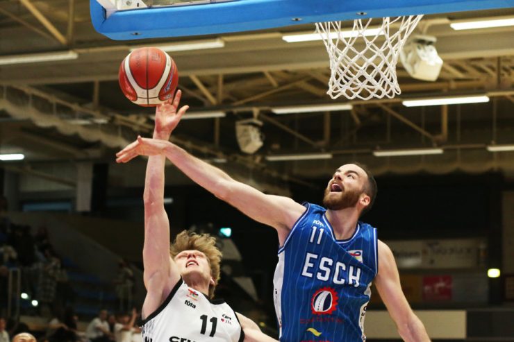 Basketball / Alles ist möglich: Beginn der Play-off-Halbfinals bei den Herren