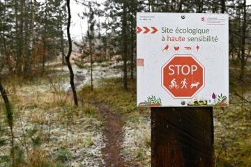 Lalléngerbierg / Wie eine gefährdete Vogelart über geschlossene Wege und angeleinte Hunde bestimmt