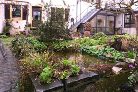 Regionales Saatgut: In der Grauzone  / SEED arbeitet für die Erhaltung regionaler Obst- und Gemüsesorten