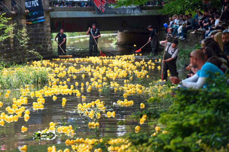 16.000 Plastiktiere / Duck Race in Luxemburg: Die gelben Enten schwimmen wieder 