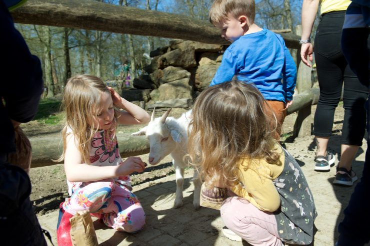 Heimaturlaub / Tierspaß für Groß und Klein: Der „Parc merveilleux“ erwacht aus dem Winterschlaf