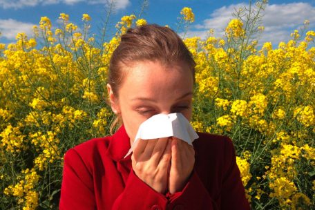 Pollen, Staub und Milben / Was Allergikern beim Putzen hilft