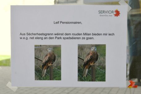 Die Verantwortlichen des CIPA in D&uuml;delingen sahen sich dazu veranlasst, die Bewohner vor dem Rotmilan zu warnen