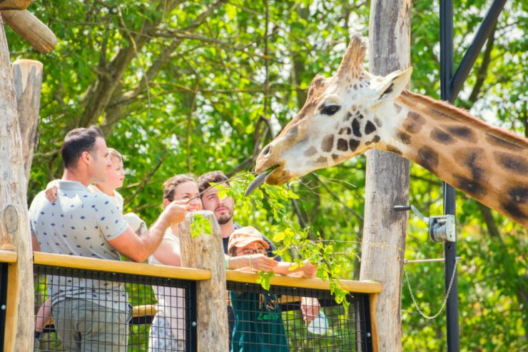 Auf Safari in der Großregion / Zum Familientag in den Tierpark von Amnéville