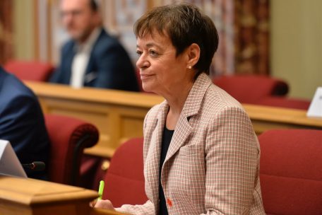 Jos&eacute;e Lorsch&eacute;, Gr&uuml;nen-Abgeordnete