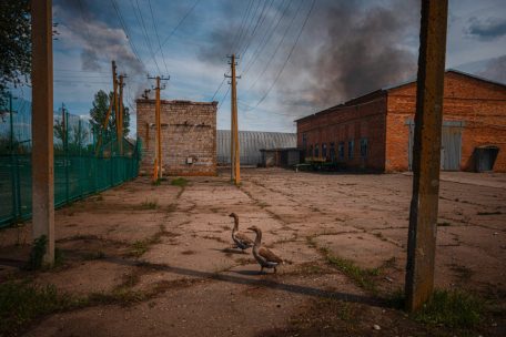 &Uuml;ber dem ukrainischen Dorf&nbsp;Temyriwka steigt dunkler Rauch auf &ndash; die Gr&auml;uel werden auf Russland zur&uuml;ckfallen, schreibt Philosophie-Professor&nbsp;Jason Stanley