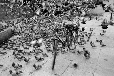 Bicicleta, Jaipur, Rajastan, India, 1999, tirage gélatino-argentique