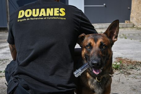 Sie sind der Schreck der Drogenh&auml;ndler in Luxemburg: die Einsatzteams des Zolls mit ihren Sp&uuml;rhunden. Hier ist eines der Zweiergespanne in dessen Ausbildungsst&auml;tte, dem &bdquo;Birelerhaff&ldquo; in Sandweiler, zu sehen. Das Tageblatt hat das Team dort Mitte 2021 besucht.&nbsp;