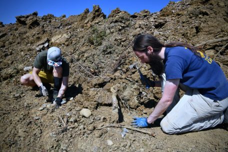 Pal&auml;ontologen bei der Arbeit