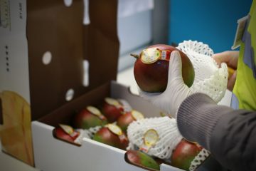 Pflanzengesundheit / Ungeliebte Tierchen: Prävention ist die beste Art der Schädlingsbekämpfung