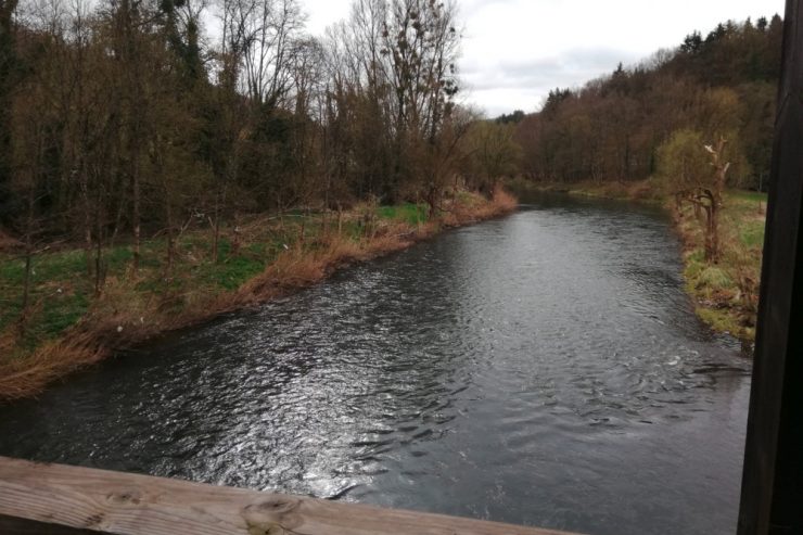 Entlang der Sauer / Nachwehen des Hochwassers: „Wir sitzen noch auf einem Müllberg, den wir nicht losgeworden sind“
