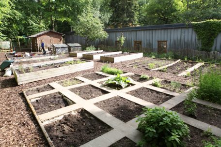 Der Schwerpunkt liegt auf Aktivitäten in der Natur