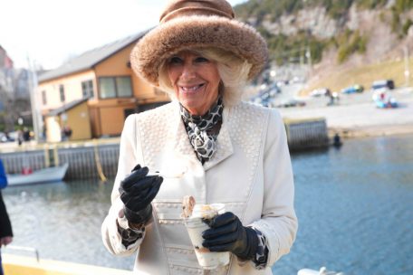 Camilla, Duchess of Cornwall, eine unersetzliche Stütze für den Thronfolger