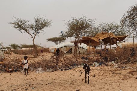 Im Fl&uuml;chtlingslager von Ouallam, im Hintergrund die vom Luxemburger Roten Kreuz bereitgestellten H&uuml;tten